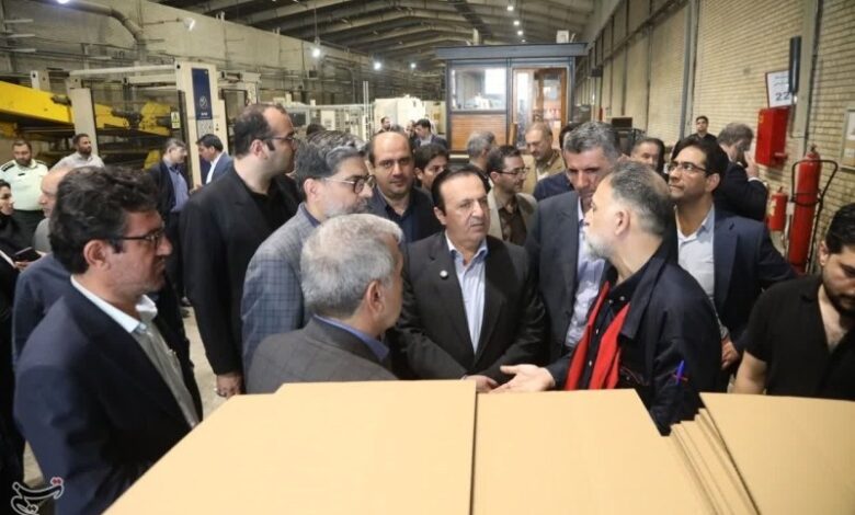 بازدید میدانی معاون وزیر صمت از واحدهای صنعتی قزوین