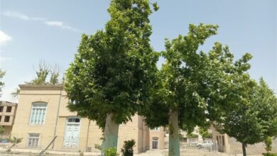 بازسازی فضای سبز نیشابور در کوتاه‌مدت؛ شهروندان چه می‌گویند؟