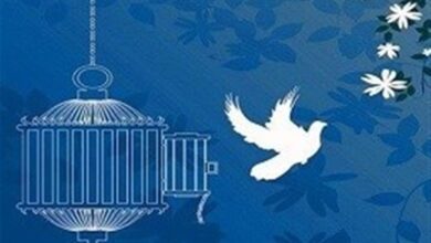 بخشش یک محکوم به قصاص نفس در بوشهر