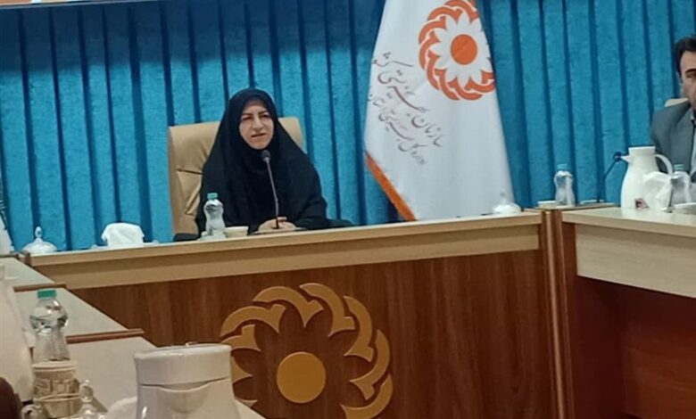 بهره‌برداری از 278 طرح خوداشتغالی مددجویان بهزیستی اردبیل