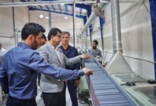 بوشهر در مسیر تبدیل شدن به قطب تولیدی