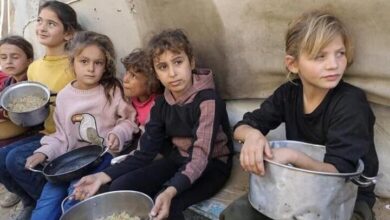 بیانیه ۲۵ کشور جهان: جنگ علیه غزه همین حالا باید متوقف شود