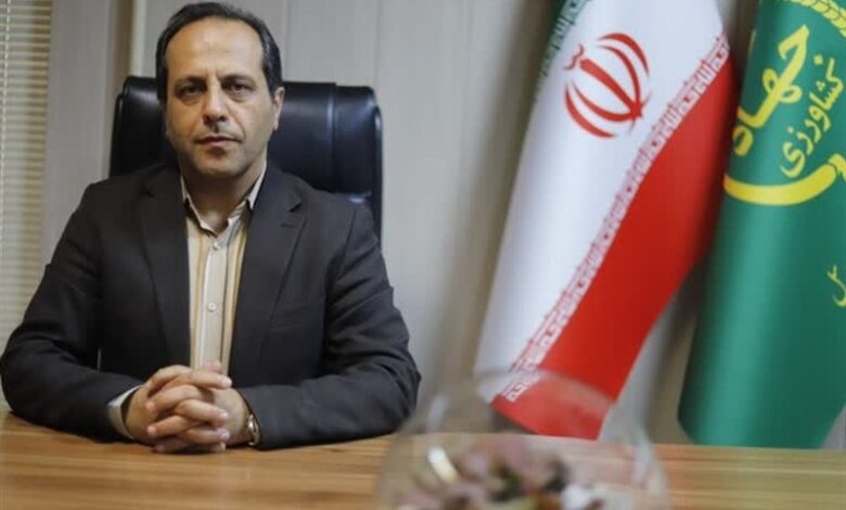 بیش از نیمی از چارت سازمانی جهاد کشاورزی خالی است