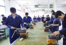 تابستان پر هیجان جوانان با طرح مهارت در بیجار+فیلم