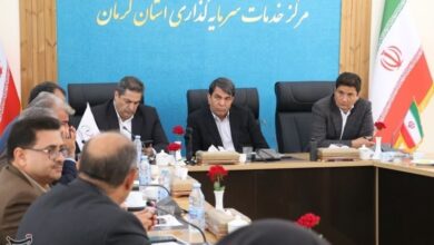 تاکید استاندار کرمان بر تسهیل صدور مجوز نیروگاه‌های خورشیدی