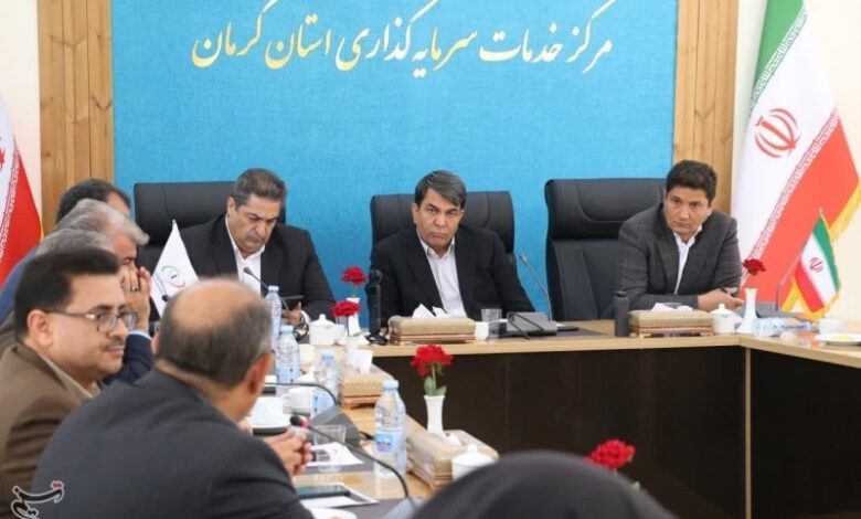 تاکید استاندار کرمان بر تسهیل صدور مجوز نیروگاه‌های خورشیدی