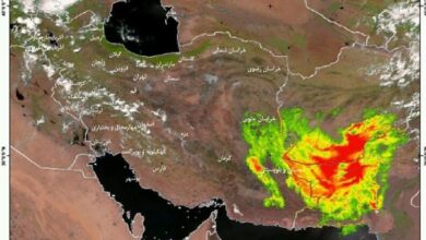 تداوم وزش بادهای 120 روزه سیستان/ هواشناسی هشدار داد