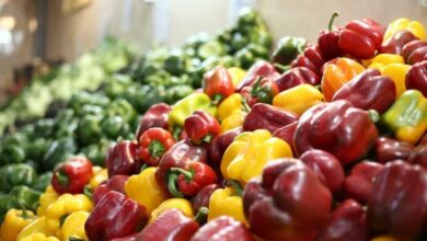 تسریع در اجرای پروژه میدان مرکزی میوه و تره‌بار ایلام