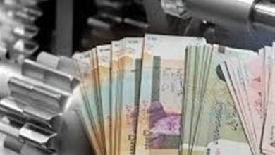 تسهیلات 2 همتی برای بانوان سرپرست خانوار در خراسان شمالی