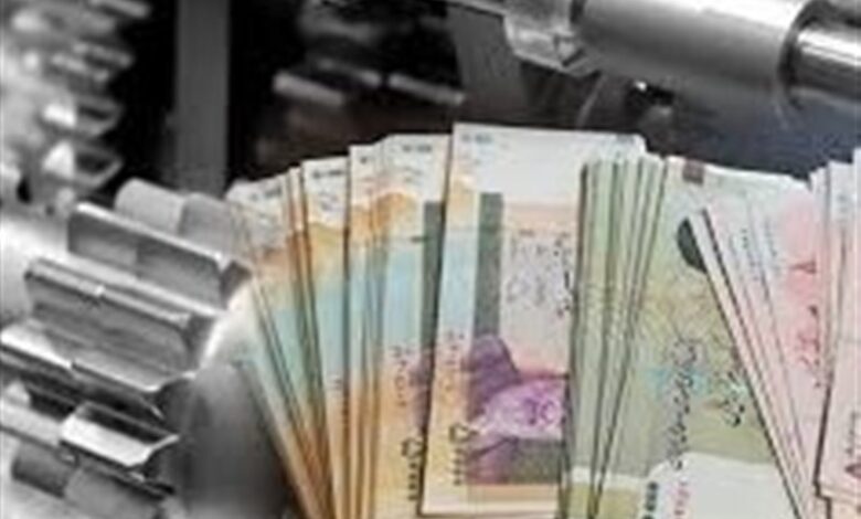 تسهیلات 2 همتی برای بانوان سرپرست خانوار در خراسان شمالی