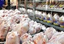 تشدید نظارت بر بازار مرغ در فارس