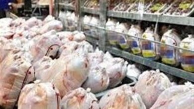 تشدید نظارت بر بازار مرغ در فارس