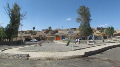 تصویب بازنگری طرح هادی 19 روستای استان بوشهر