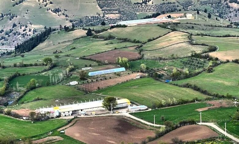 تهدید ظرفیت‌های گردشگری و کشاورزی رودبار با گسترش بی‌رویه مرغداری‌ها