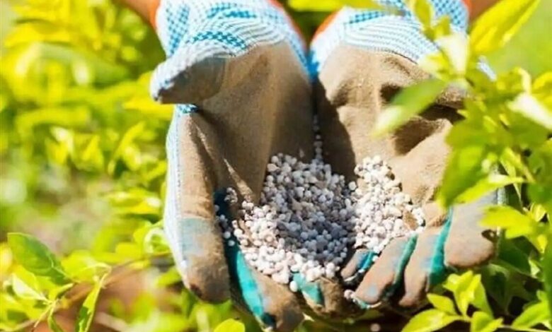 توزیع 10 هزار تن کود یارانه‌ای در چهارمحال و بختیاری