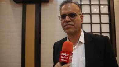 ثبت 2.1 میلیون قطعه جوجه‌ریزی در مرغداری‌های استان بوشهر+فیلم
