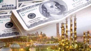 ثبت بیشترین درآمد ارزی در پتروشیمی تبریز