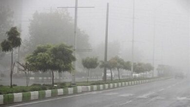ثبت رطوبت 93 درصدی در بندر بوشهر