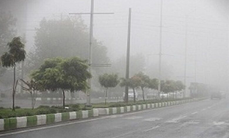 ثبت رطوبت 93 درصدی در بندر بوشهر