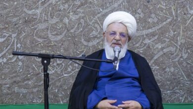 جامعه امروز بیش از همیشه به الگوهای علمی بی‌ادعا نیاز دارد