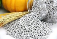 جنگ تحمیلی اسرائیل علیه ایران و تأثیر آن بر زنجیره غذا جهان