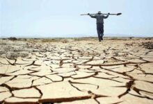خراسان جنوبی روی خط قرمز بحران آب؛ زنگ خطر خشکسالی و راهکارهای نجات