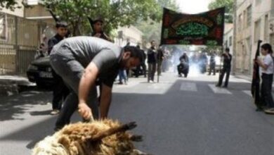 دامپزشکی خراسان جنوبی: ذبح دام در معابر عمومی ممنوع است