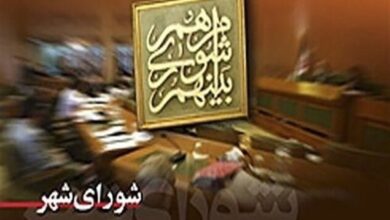 درخواست برای بازتعریف نقش شوراها در توسعه لرستان