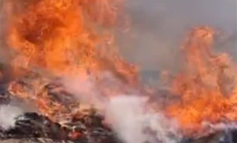 دست‌های گره‌خورده برای نجات جنگل ابر/ آتش در برابر اتحاد مردم و امدادگران
