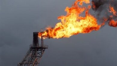دستور جمع‌آوری 65 فلر فعال اطراف اهواز صادر شد