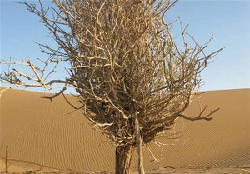 دق جزیره سرایان؛ روایت سنگ و سکوت در دل شرق ایران
