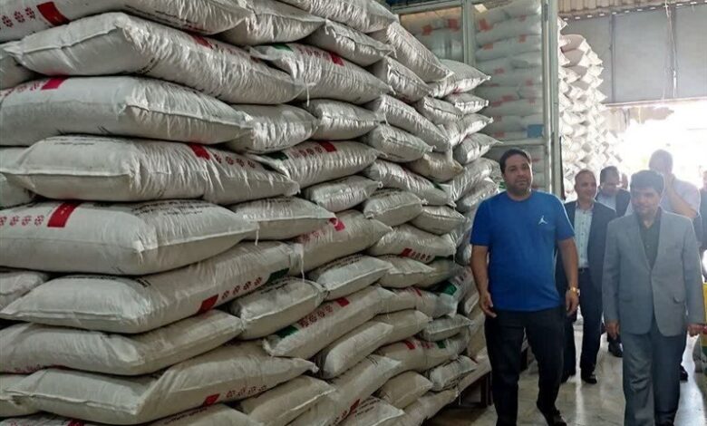 دلالان نفس برنجکاران شمال را بریده‌اند/ راهبردهای جدید برای مهار نوسانات ‌