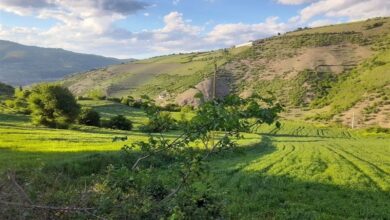 دمای بدن‌محسوس بالای 40 درجه در گیلان؛ هواشناسی هشدار داد