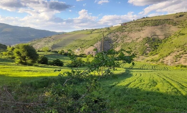 دمای بدن‌محسوس بالای 40 درجه در گیلان؛ هواشناسی هشدار داد