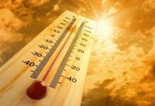 دمای هوا در برخی نقاط استان بوشهر به 51 درجه رسید