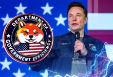دولت یا شرکت تجاری؟؛ واکاوی علل شکست طرح DOGE ایلان ماسک در دولت ترامپ