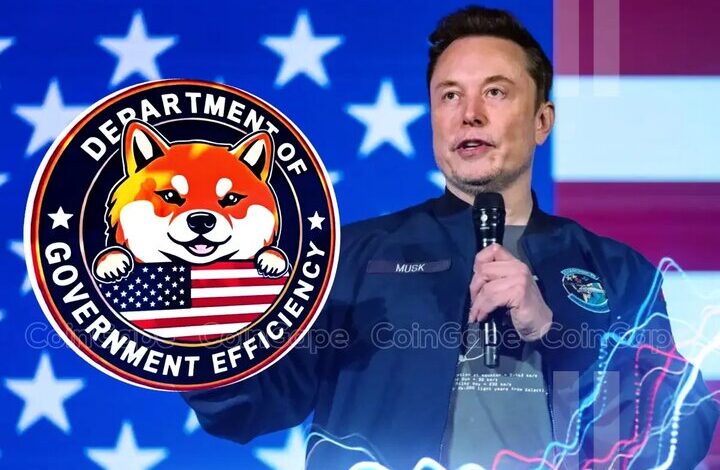 دولت یا شرکت تجاری؟؛ واکاوی علل شکست طرح DOGE ایلان ماسک در دولت ترامپ