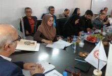 رشد 29 درصدی منابع مشارکت‌های مردمی در خراسان جنوبی