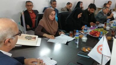 رشد 29 درصدی منابع مشارکت‌های مردمی در خراسان جنوبی