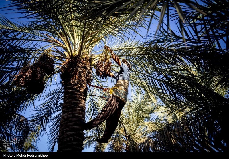استان سیستان و بلوچستان , 