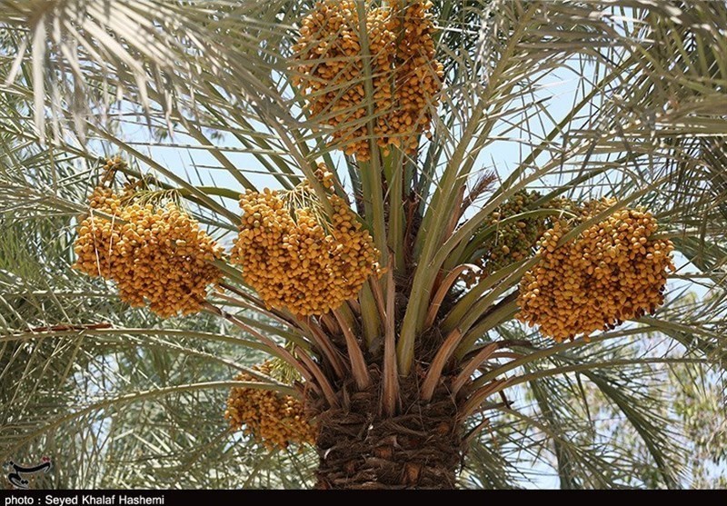 استان سیستان و بلوچستان , 