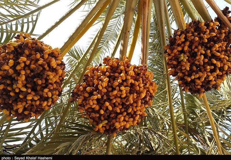 استان سیستان و بلوچستان , 