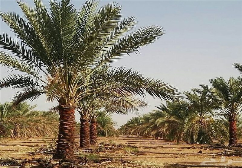 استان سیستان و بلوچستان , 