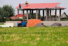 روند نگران‌کننده تغییر کاربری اراضی کشاورزی در گیلان