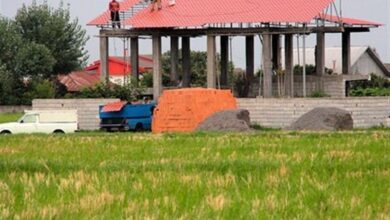 روند نگران‌کننده تغییر کاربری اراضی کشاورزی در گیلان