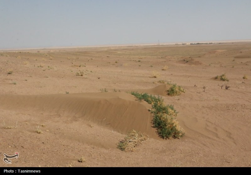 ریزدگردها می‌تازند، اعتبارات نمی‌رسند/ هشدار درباره پیشروی شن‌های روان‌ ‌در قم