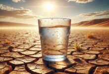 زنگ خطر بحران آب و فرونشست در سمنان/ خشکسالی می‌تازد!