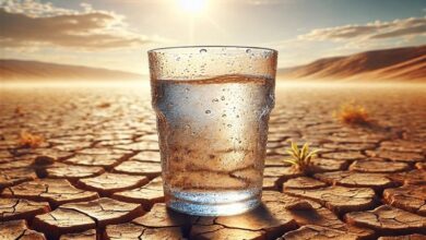 زنگ خطر بحران آب و فرونشست در سمنان/ خشکسالی می‌تازد!