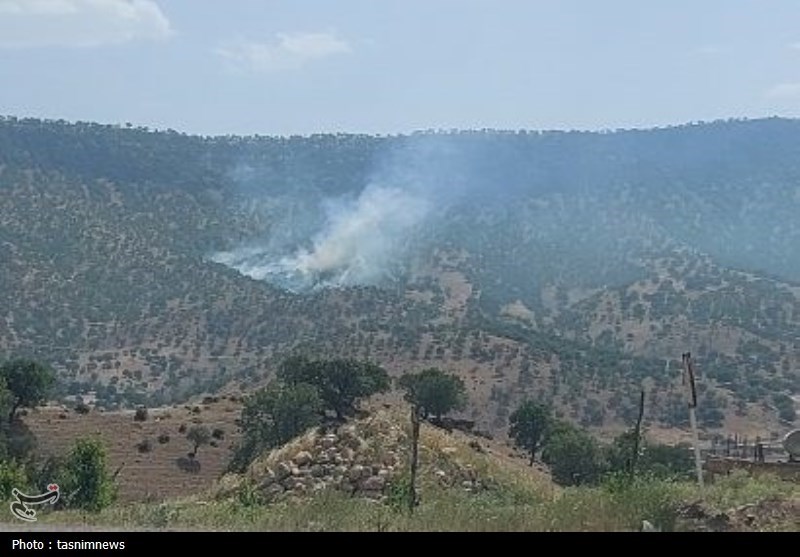 سازمان منابع طبیعی , جنگل , 