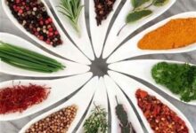 سایه سنگین مافیا بر سر زعفران و زیره/ سهم واقعی کشاورز چقدر است؟